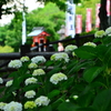 参拝のあとで