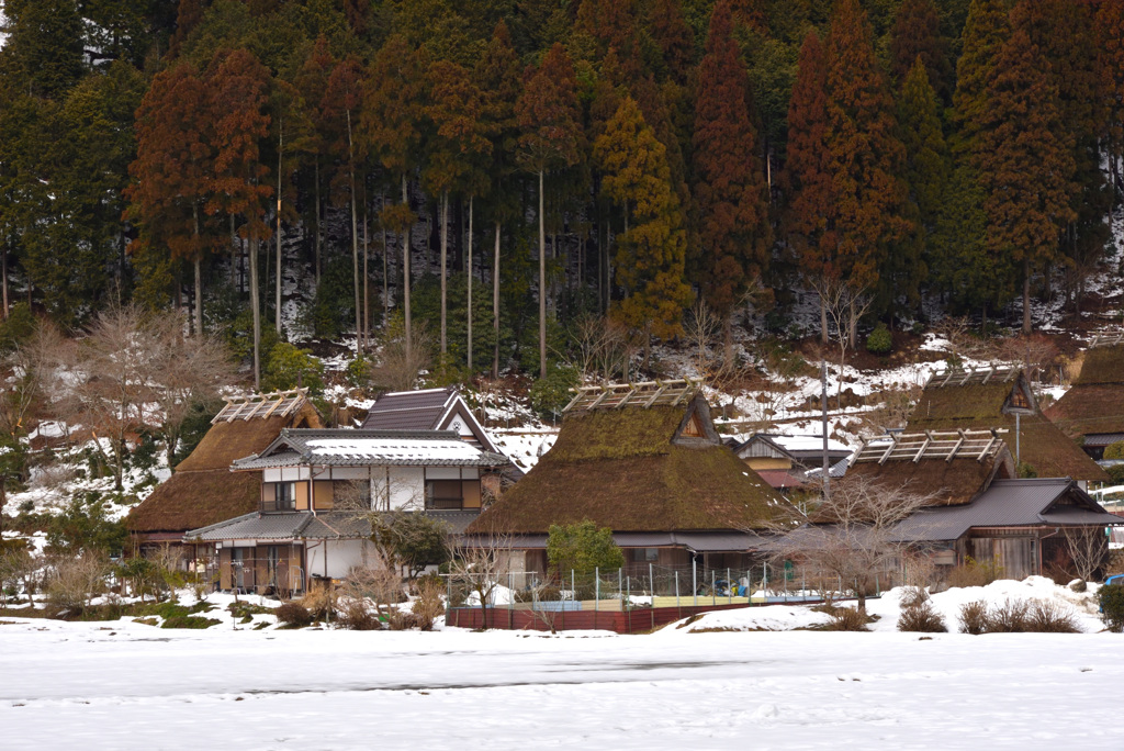 山里の冬