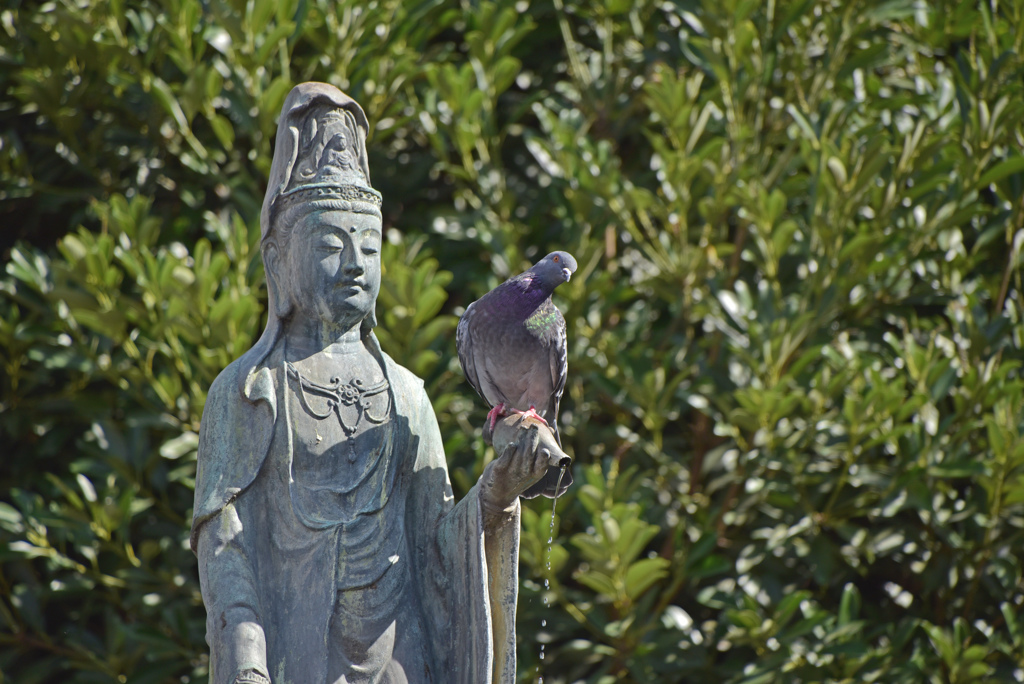 愛と平和のオヨヨ