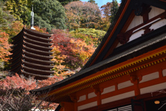 談山神社