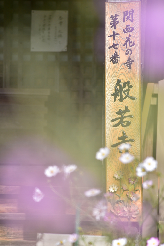 関西花の寺