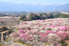 いなべ市農業公園