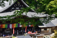 岡寺　本堂