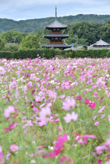 国宝を彩る