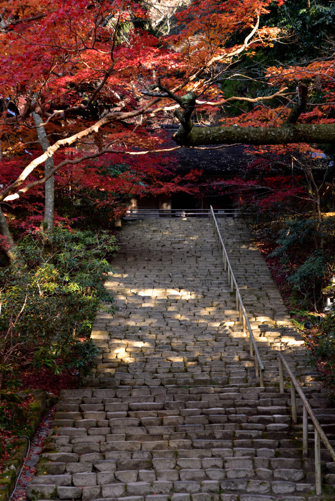 石段の佇まい