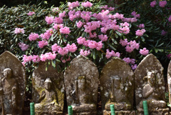 荘厳
