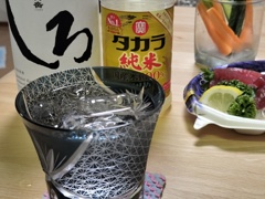 柳影