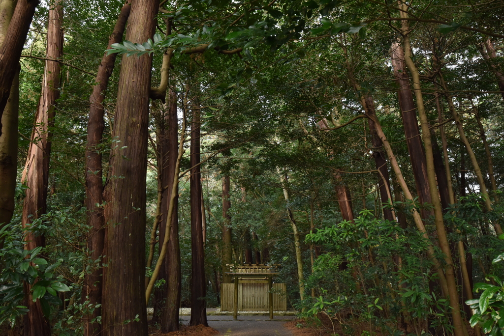 奈良波良神社