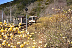 春旅鉄道