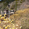 春旅鉄道