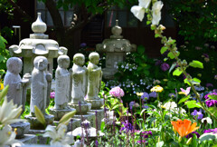 三重県にだって花のお寺があるんだぜ！
