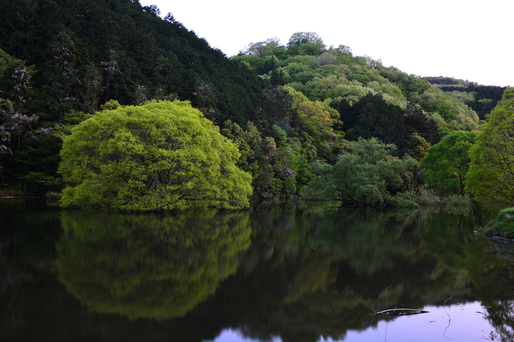 初めての室生湖