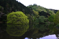 初めての室生湖