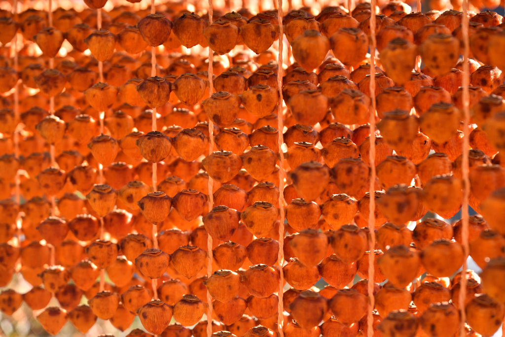 柿柿柿柿柿柿柿