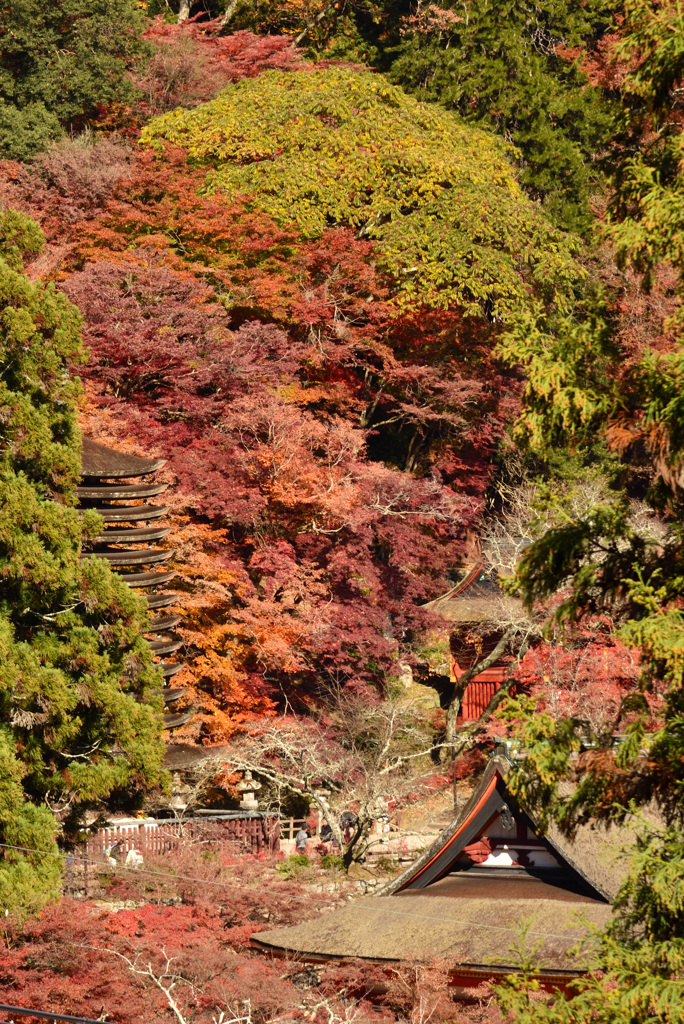 談山神社　遠望