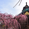結城神社にて