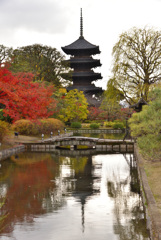 東寺にて