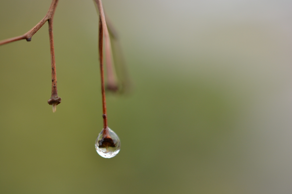 水の果実　3