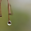 水の果実　3