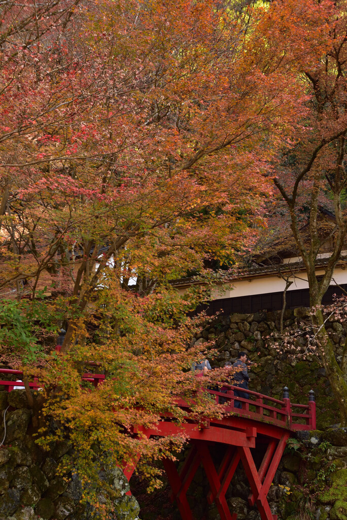 横蔵寺