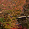 横蔵寺