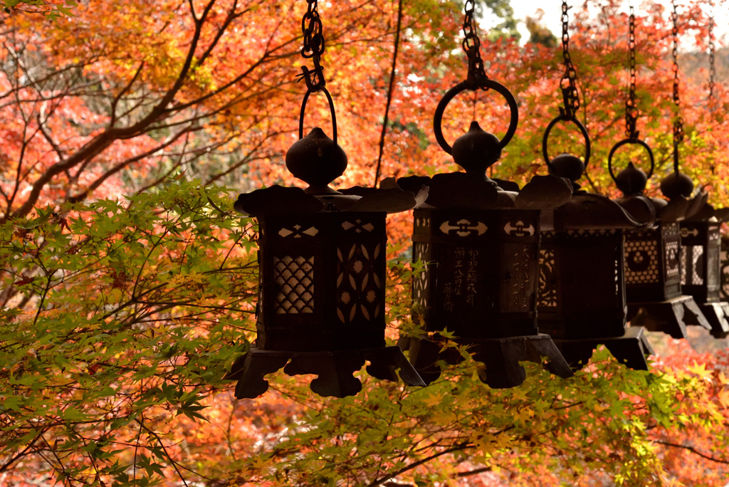 吊り灯篭　秋