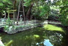 池がある