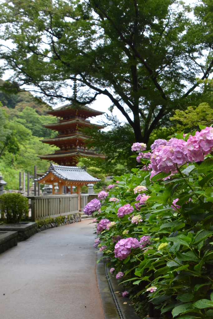 花の御寺