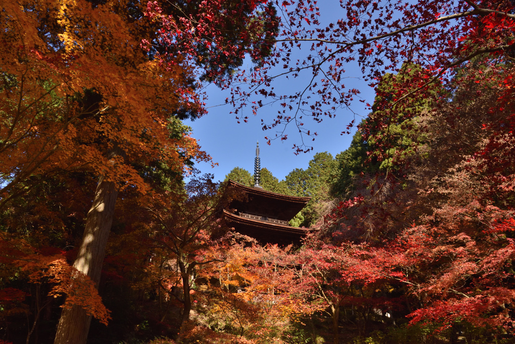 金剛輪寺　三重塔