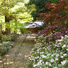 石楠花の寺