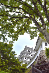 郡上八幡城 郡上八幡城