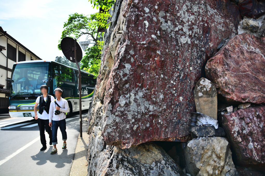 家族旅行は嫌いです