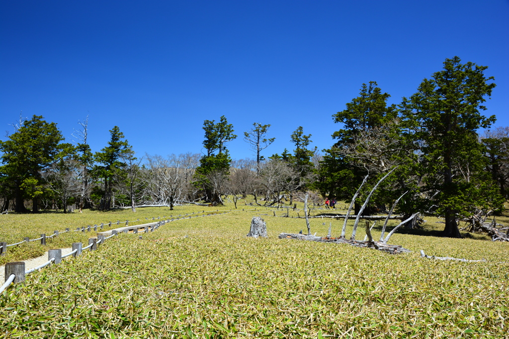 見れば見るほど
