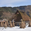 山里の冬