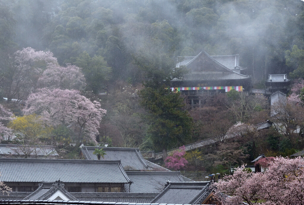 雨に煙る本堂