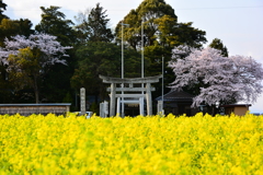 春色神社