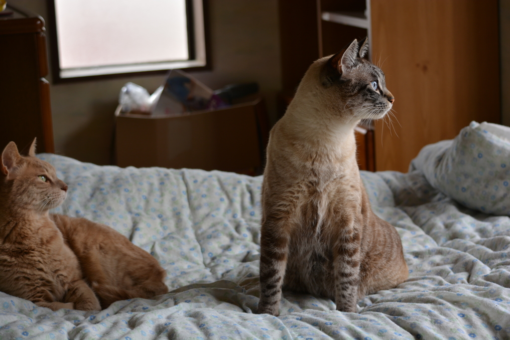 「ん！」　「どうした？」