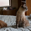「ん！」　「どうした？」