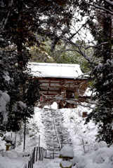 雪の山門