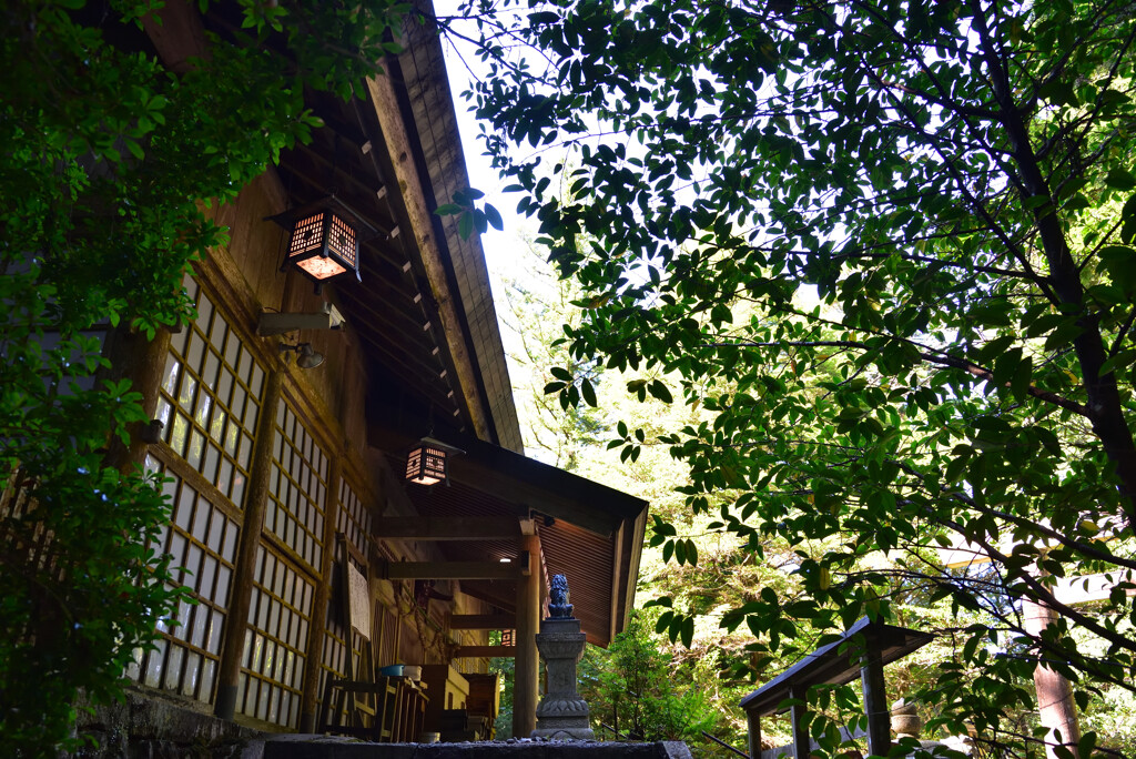 川上山若宮八幡宮