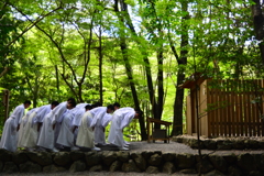 お伊勢さん紀行　瀧祭神にぺこり