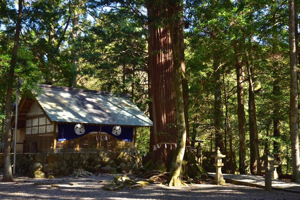 飛鳥神社