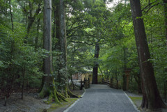 瀧原宮　参道