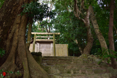 田上大水神社