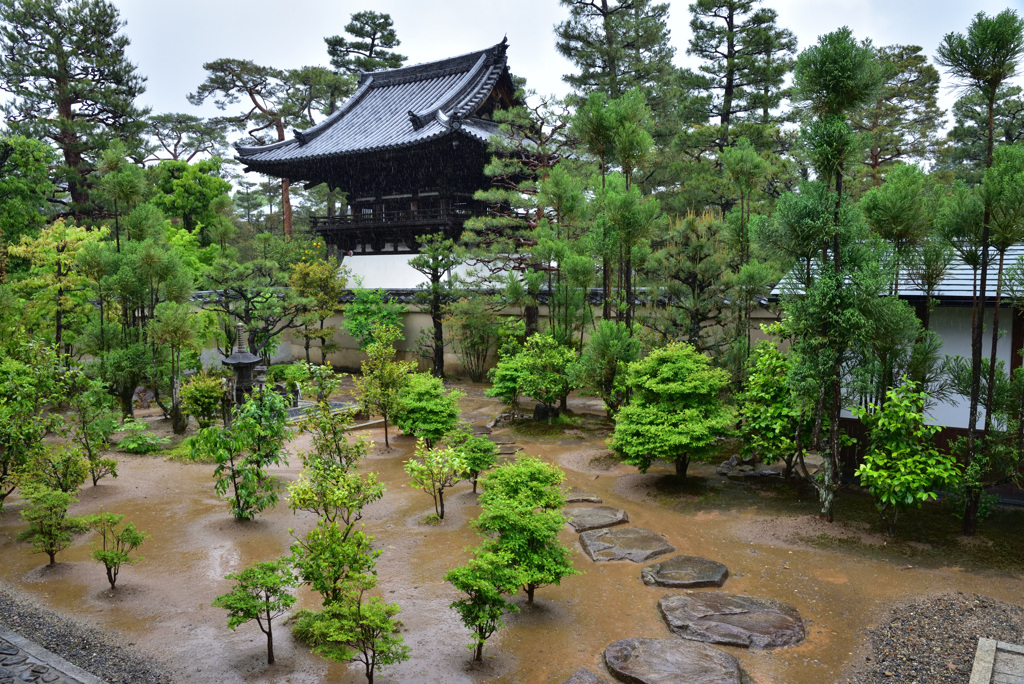 総見院の庭