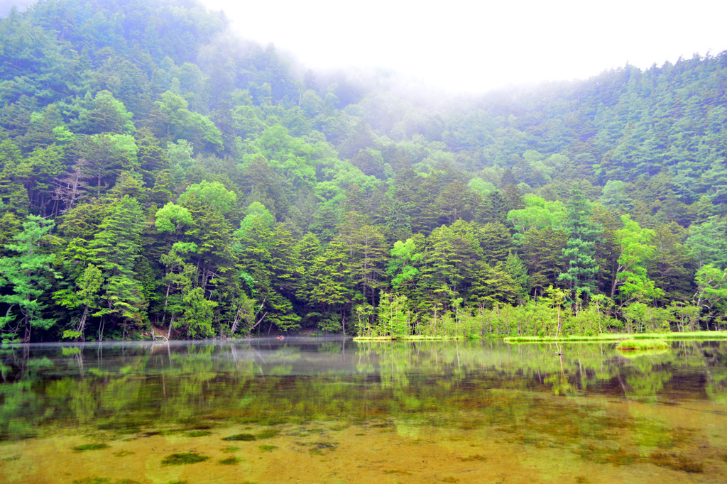 雨上がりの明神池