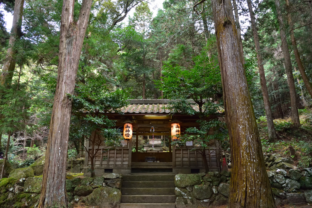 秘境神社で初詣