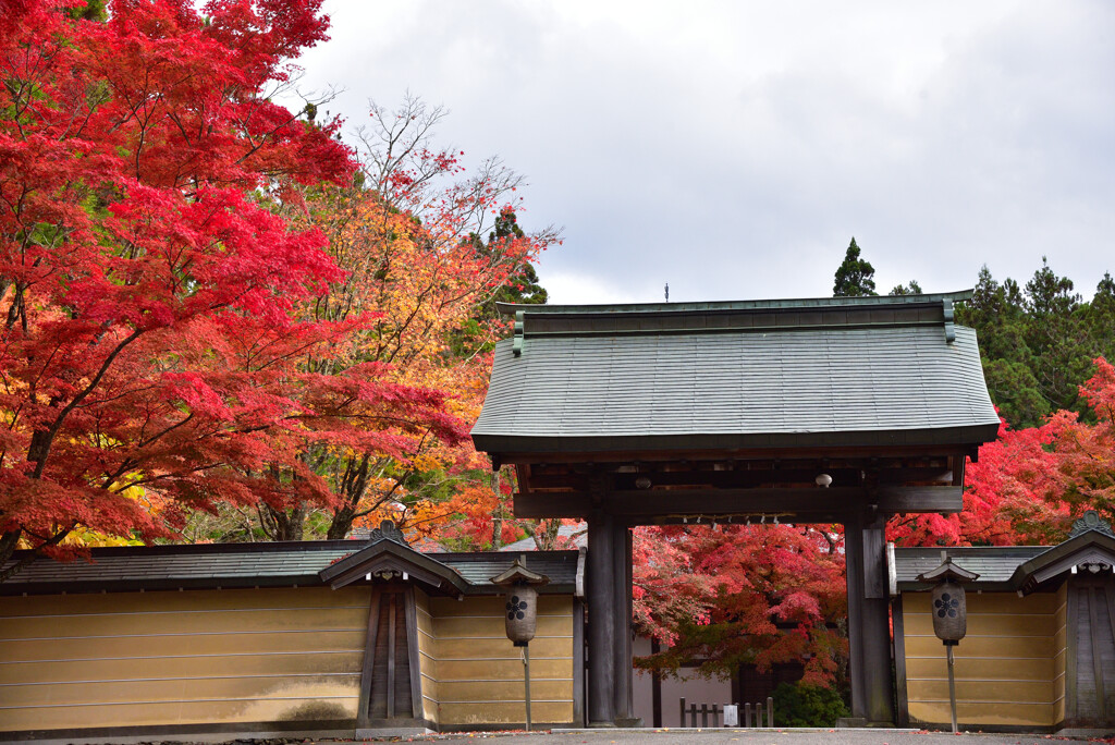 天徳院