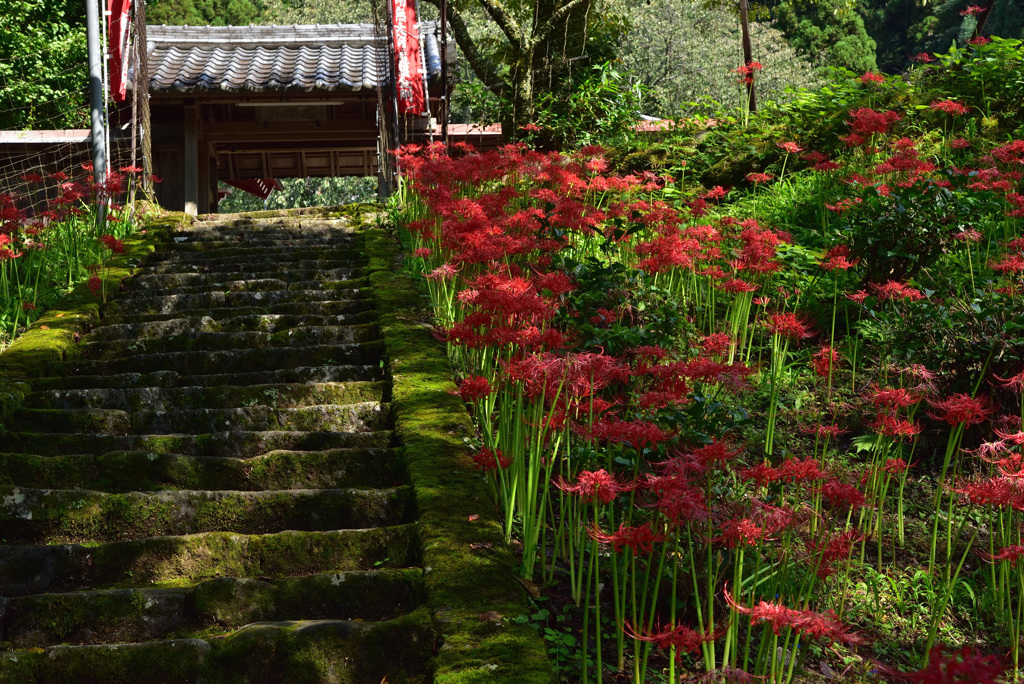 お彼岸