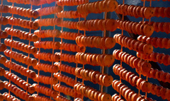 お日様に照らされて